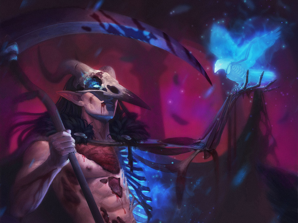anatomia_version-4_3